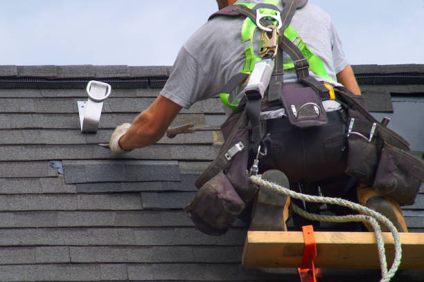 Best Roof Restoration Services  in Ecorse, MI