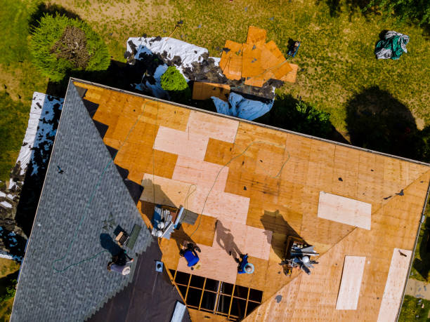 Best Flat Roof Repair Services  in Ecorse, MI