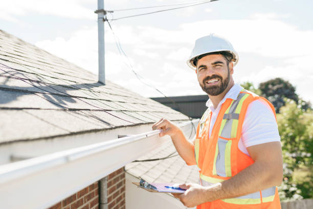 Best Affordable Roof Replacement  in Ecorse, MI