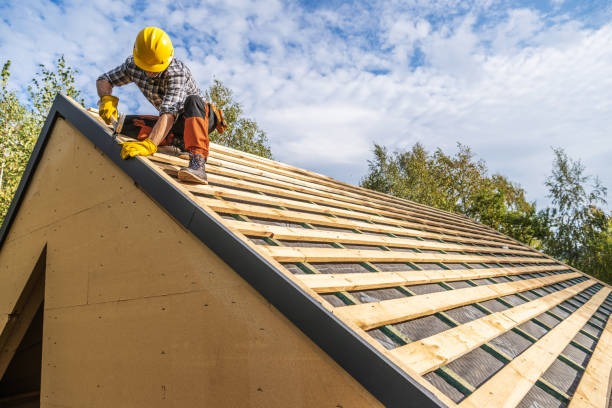 Best Roof Gutter Cleaning  in Ecorse, MI