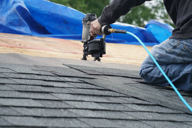 Best Storm Damage Roof Repair  in Ecorse, MI