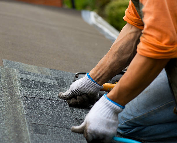 Best Metal Roofing Contractor  in Ecorse, MI