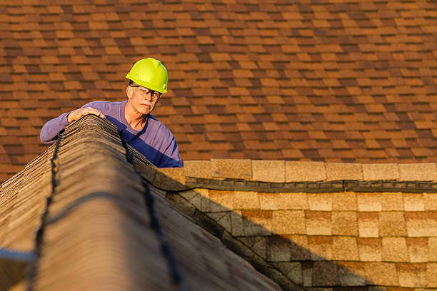 Best Roof Maintenance Services  in Ecorse, MI