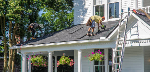 Best Storm Damage Roof Repair  in Ecorse, MI