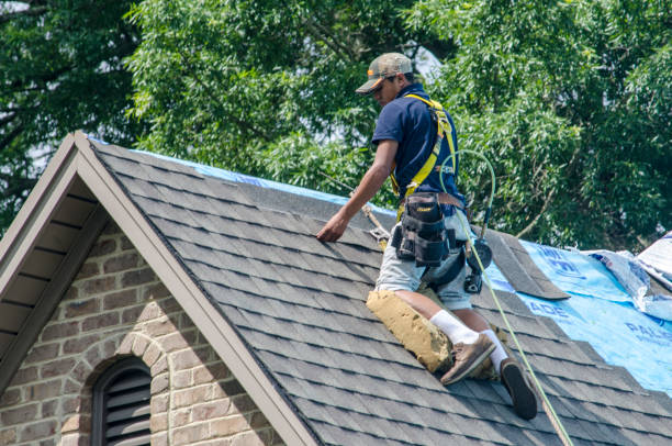 Quick and Trustworthy Emergency Roof Repair Services in Ecorse, MI